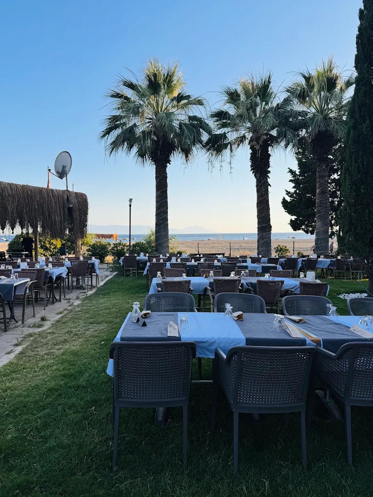 Camp of AUGUST galeri 2
